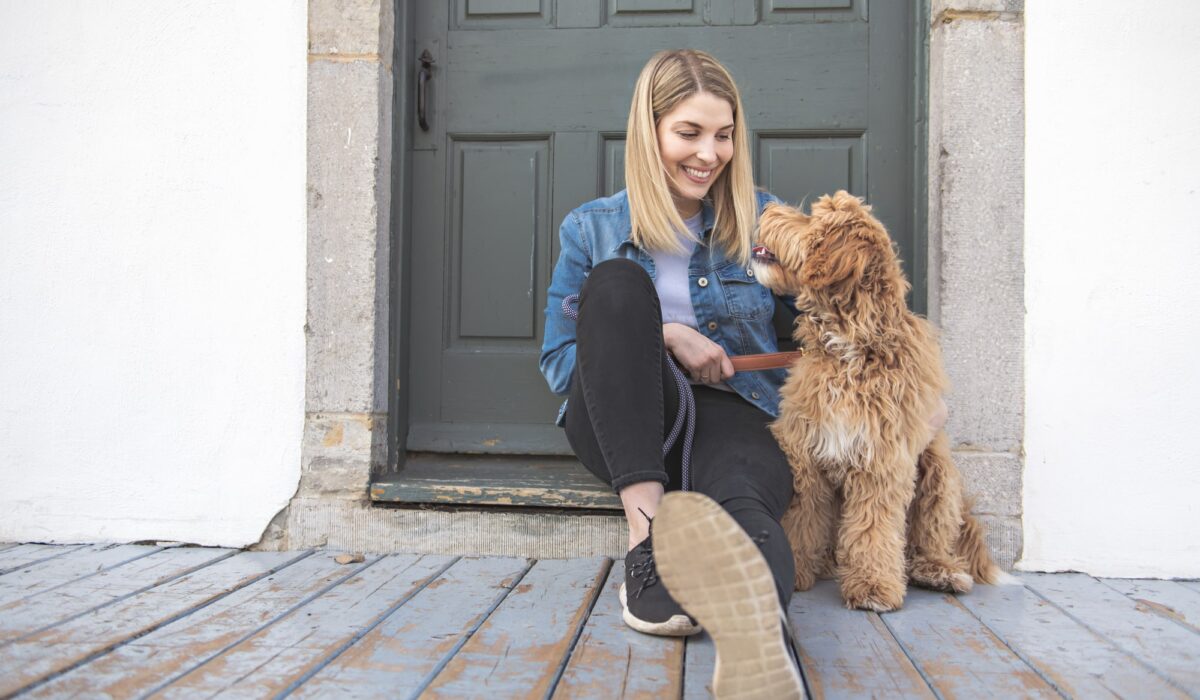 Goldendoodle Ideal Family Dog