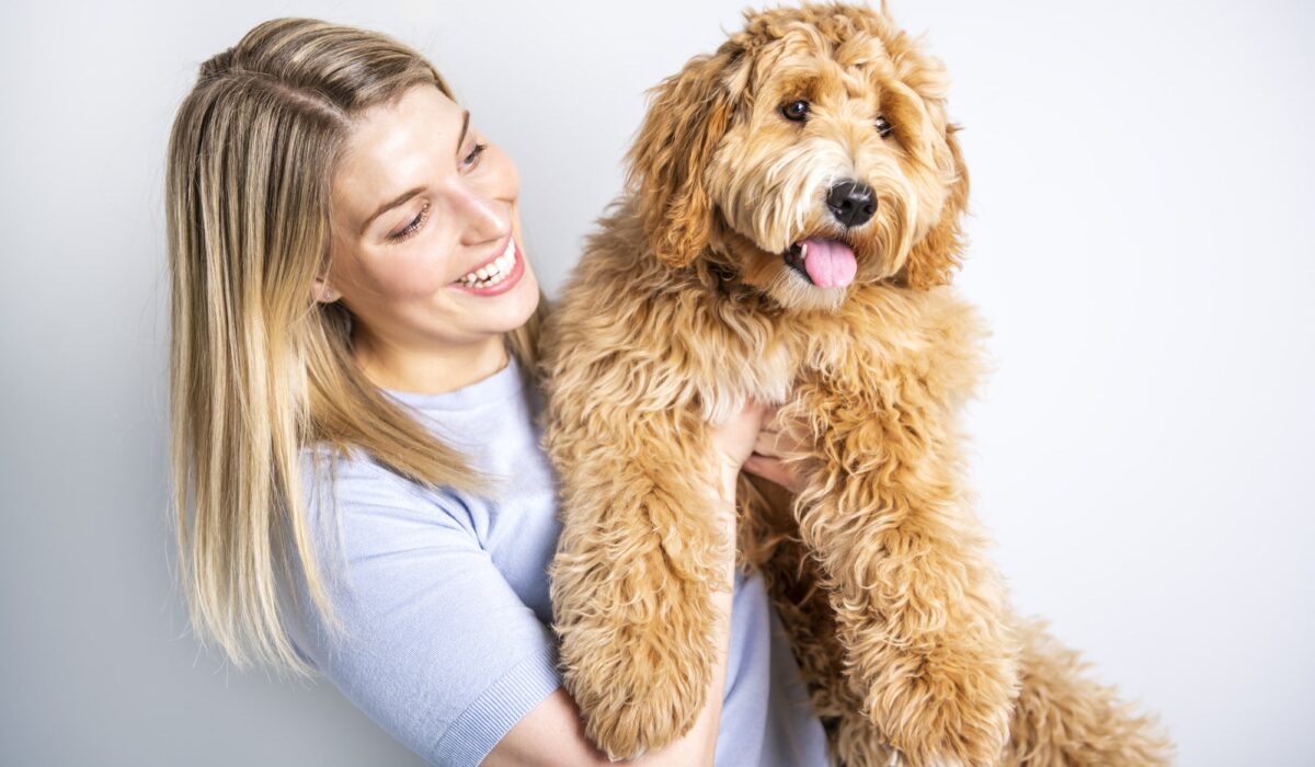 Should I Get a Labradoodle