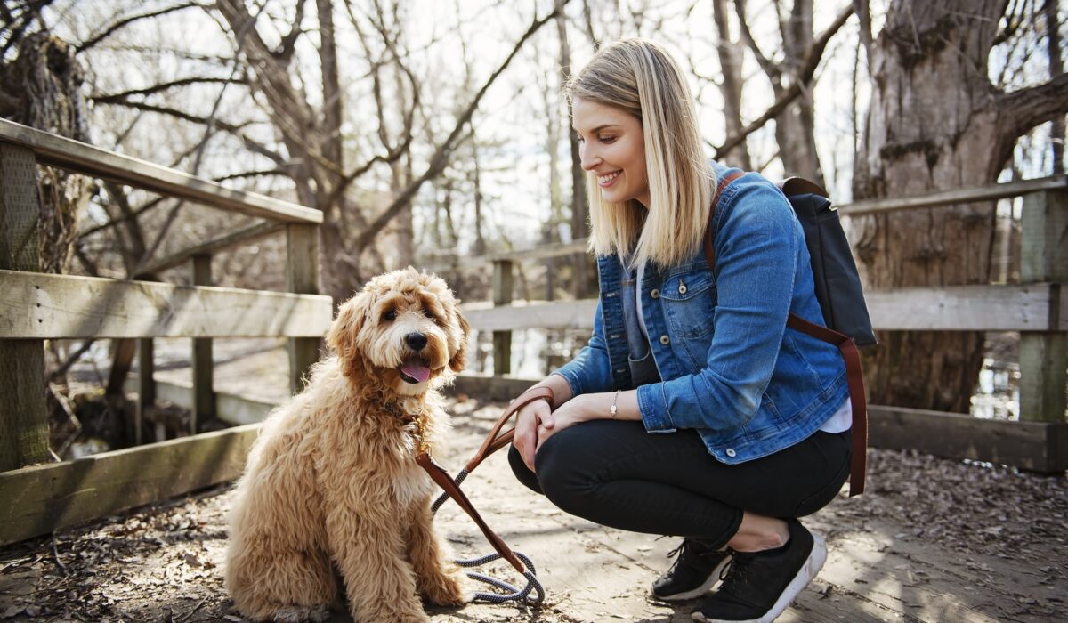 Camping With Your Goldendoodle