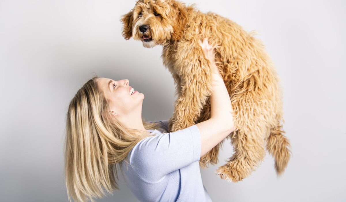 are labradoodles loyal