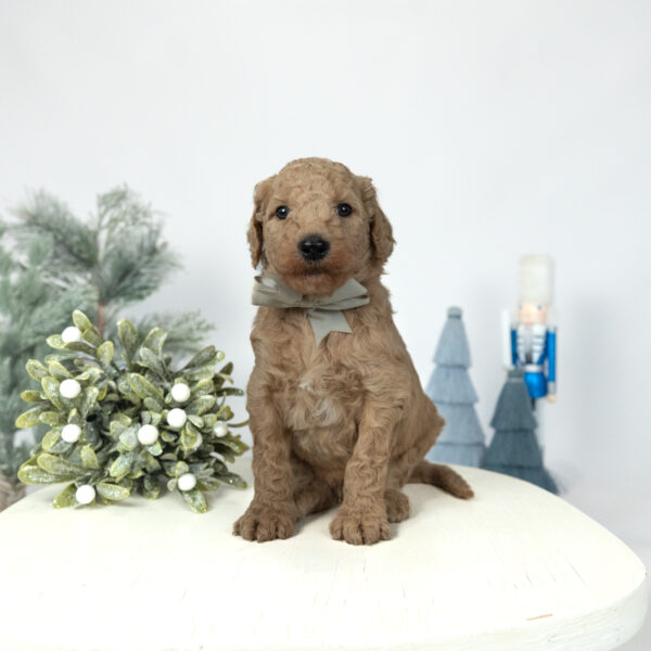 Casper - Image 2