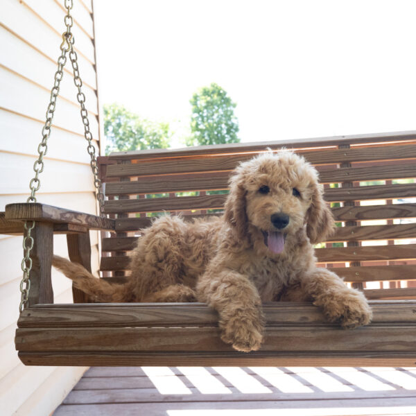Riley - Image 2