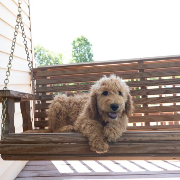 Riley - Image 3