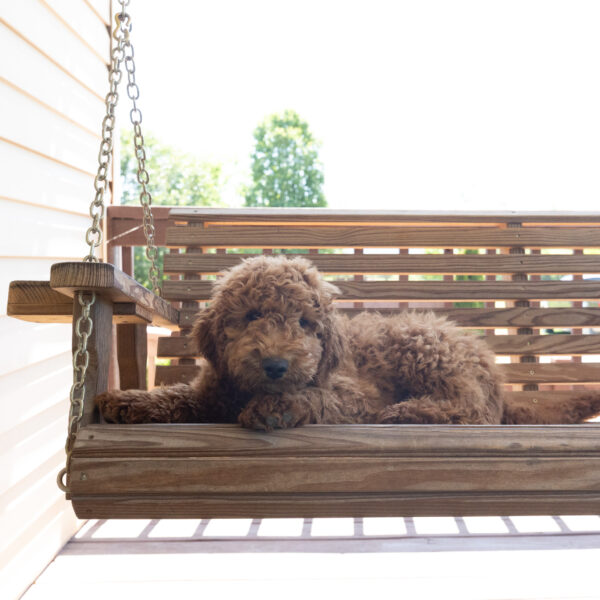 Topper - Image 3