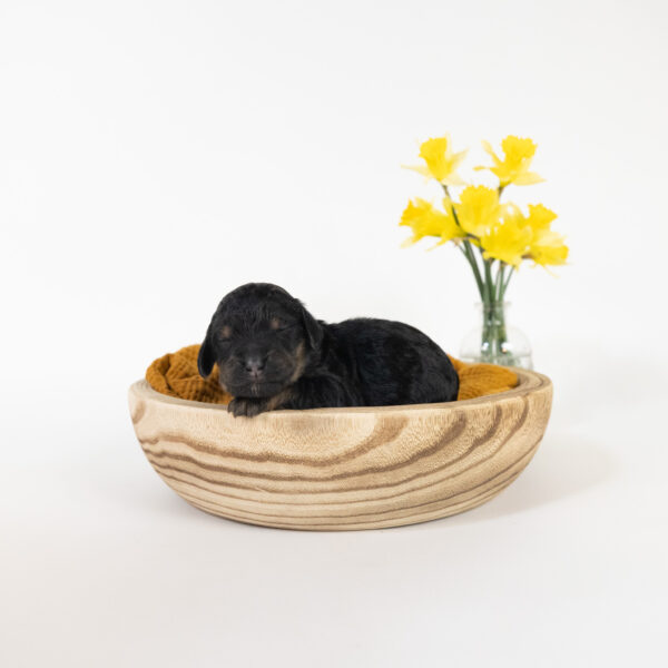 April - Image 10