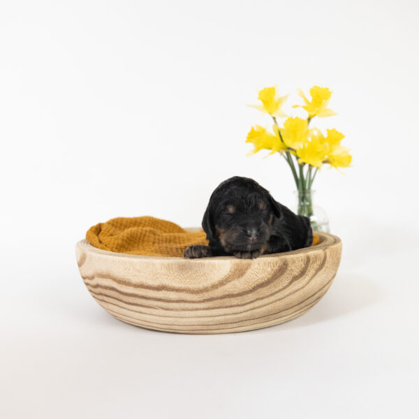 April - Image 9
