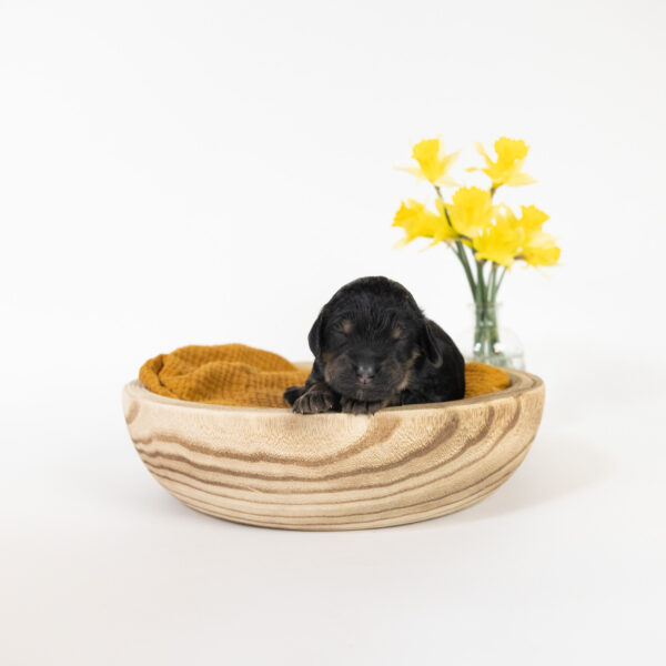 April - Image 8