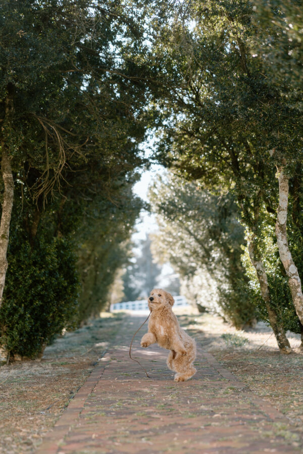 Lucy - Image 5