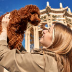A young blonde girl in a beige raincoat holds her cute pet red mini cockapoo in her arms.