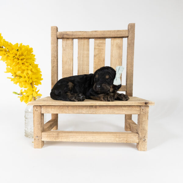 April - Image 6
