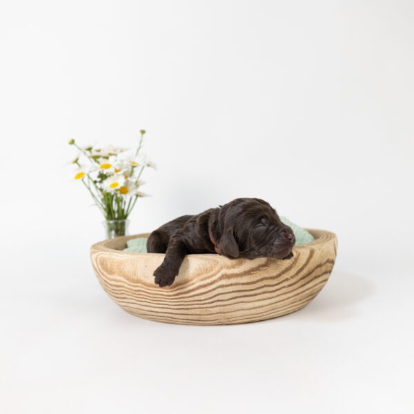 Christopher Robin - Image 4