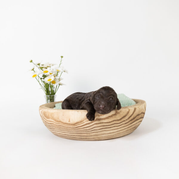 Christopher Robin - Image 3