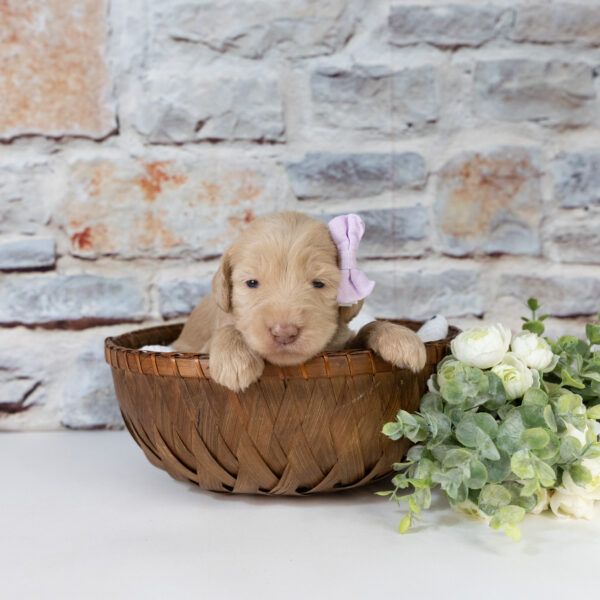 Winnie