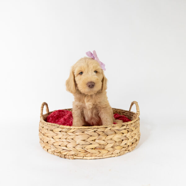 Winnie