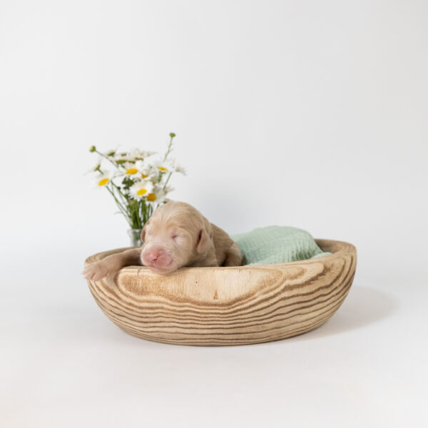 Winnie - Image 5