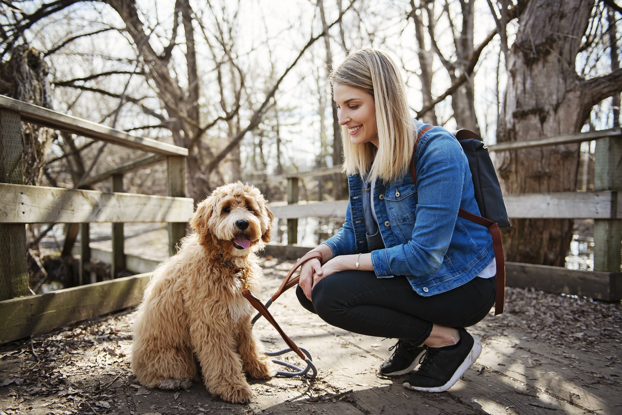 Camping With Your Goldendoodle Pride Prejudoodles