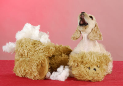 Destructive dog behaviors - dog tearing a fake dog or stuffed dog toy