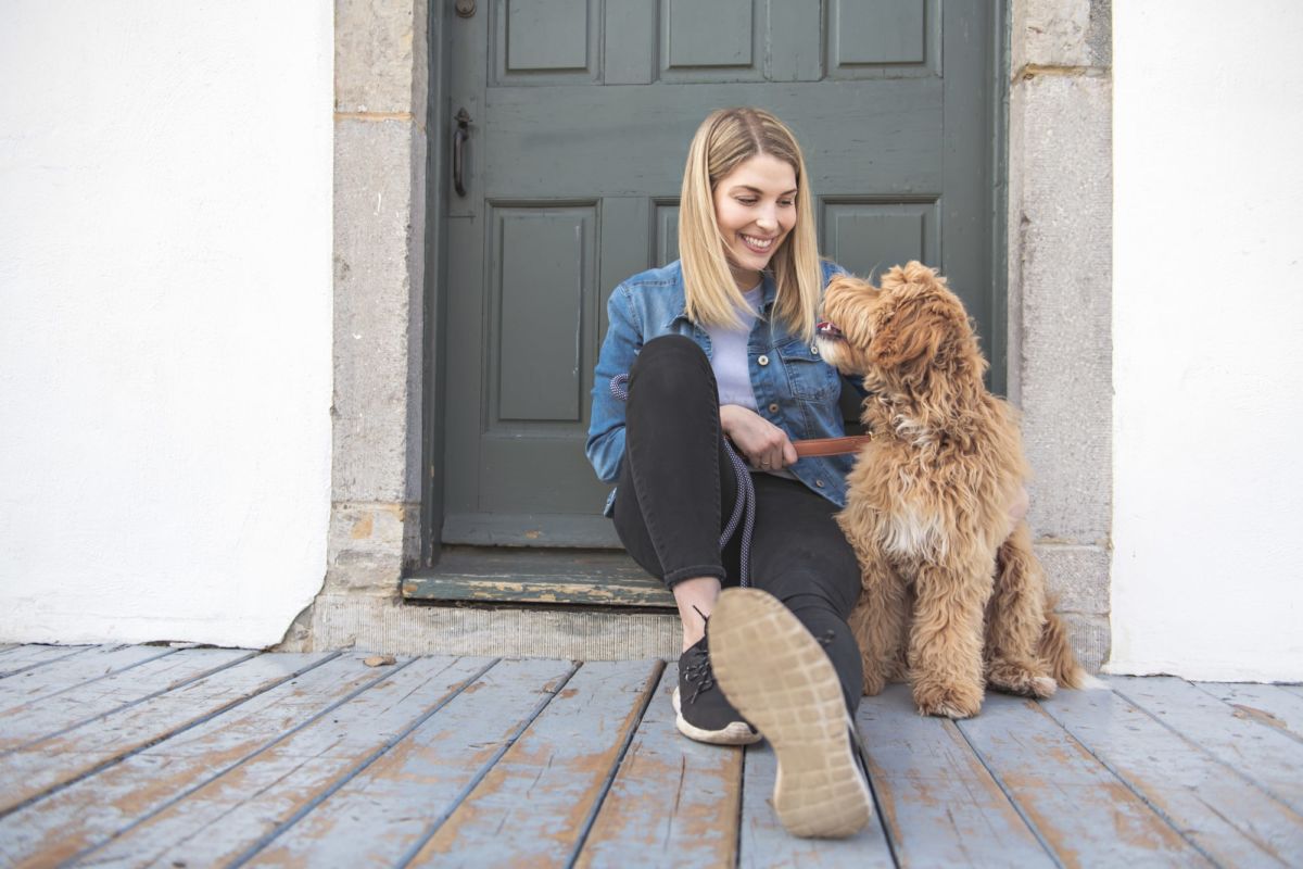 male vs female goldendoodle