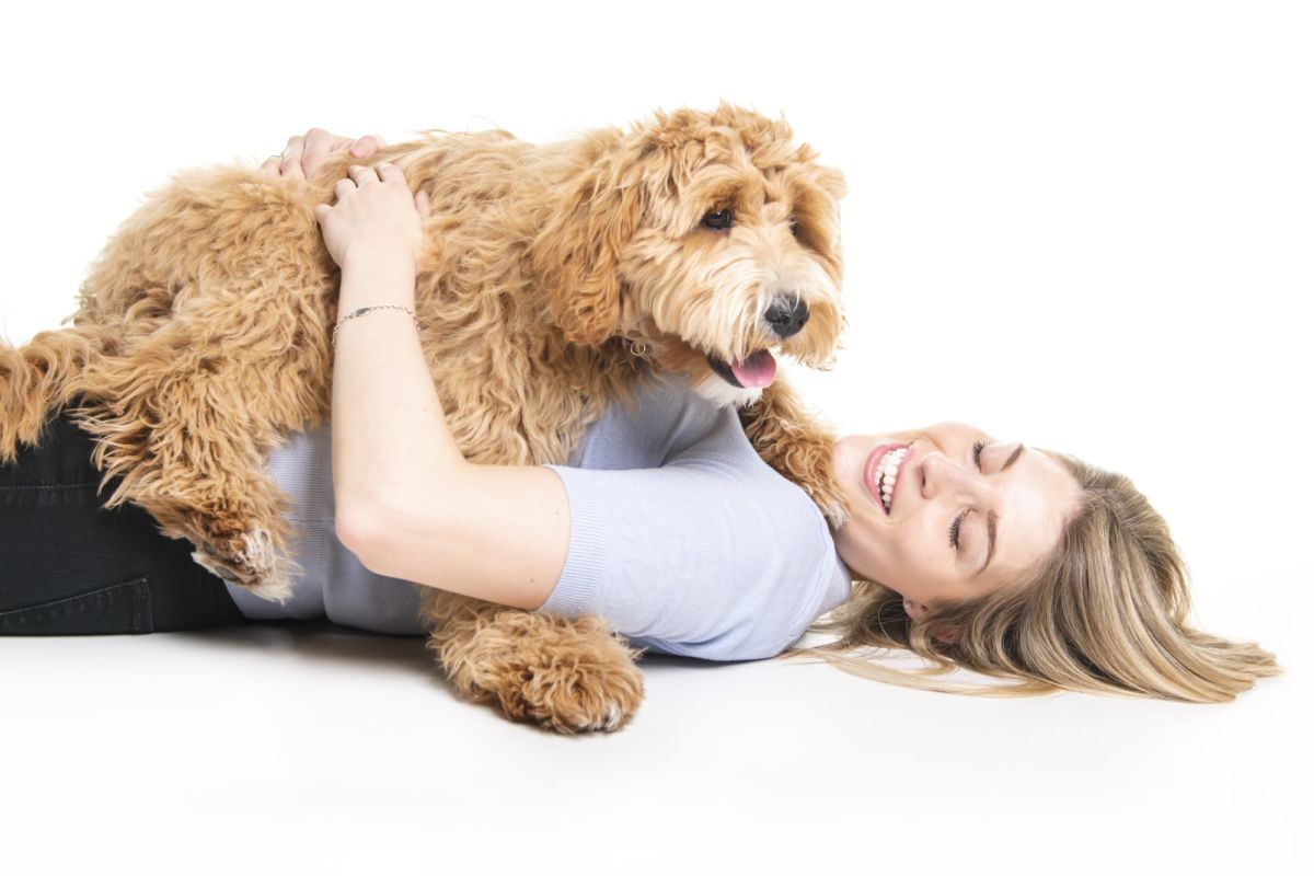 indoor games to play with goldendoodle
