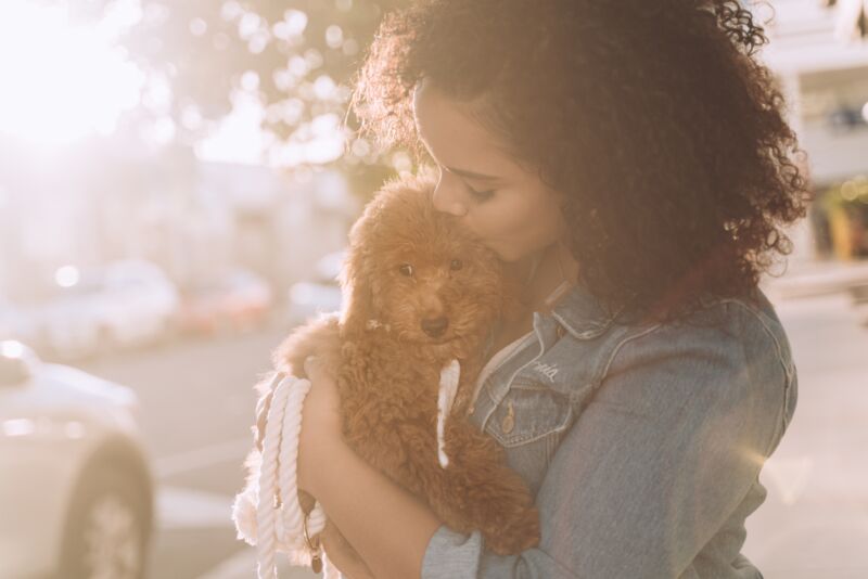 Woman kissing a Goldendoodle puppy