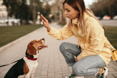 Young woman training a dog to sit and stay